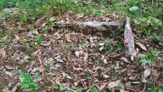 Megalithic Burial Site, Poothamkara